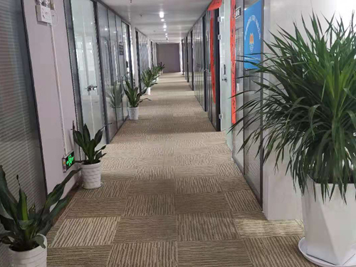 中山公司注册